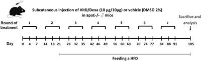 Reformulating Small Molecules for Cardiovascular Disease Immune Intervention: Low-Dose Combined Vitamin D/Dexamethasone Promotes IL-10 Production and Atheroprotection in Dyslipidemic Mice